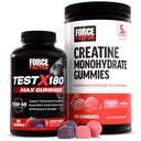 Ensemble de performance des facteurs de force : Essai X180 Max T-Booster (60 Gommies mixtes de baies) et Monohydrate de créatine 5g (150 Gommes de pastèque)