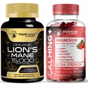 WELLNESS LABSRX Lions Mane Supplément Capsules - Glycinat de magnésium Gommies 1000mg