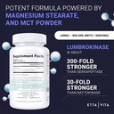 Potent Lumbrokinase Supplement (120 Servings) 40mg/Serving (Max Activity - 800,000 Units) - Lumbrokinase Enzymes Capsules for Energy Support, Digestion, Cognition & Gut Health - Similar to Nattokinase