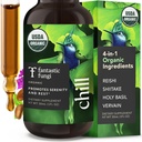 Fantastic Fungi Reishi Mushroom Extract Drops with Shiitake, Holy Basil & Vervain - Chill Elixir Mushroom Tincture - 4-in-1 Organic Mood Support Supplement for Relaxation & Calm, 30 Servings, 1 fl oz
