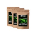 Blessfull Healing Organic Noble Kava Root Powder 100% Pure Natural 100 Gram (3.52 oz) Each (Pack of 3) = 300 Grams, Vegan