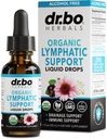 Lymphatic Drainage Supplements Drops - Organic Lymphatic Support Liquid Drops Cleanse with Echinacea for Lymph System Support Supplement, Lymph Node Detox Cleanse System Drainage - 1oz Vegan Non-GMO