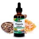Nature's Answer Propolis Resin Extract | Herbal Supplement | All-Natural Immune Support | Vegan, Alcohol-Free & Gluten-Free (2 Ounce)