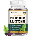 Polypodium Leucotomos Gummies, Gomitas de Niacinamida para el Piel y Melena de Leon para la Memoria, Equinácea para la Inmunidad. Prevent Tanning Supplement.60 Gummies