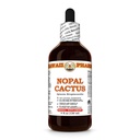 Nopal Cactus (Optunia Streptacantha) Dry Whole Cactus Tincture, All Natural, Vegan, Pure Liquid Extract - 4 fl.oz