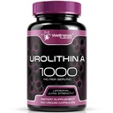 Urolithin A Supplement Capsules 1,000mg (98.9% Pure) – Advanced Urolithin A+ Formula for Cellular Renewal & Mitochondrial Support, High-Strength Muscle Health Support- 120 Count
