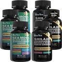 Garçon. Shilajit and Sea Moss Bundle- 90 Compte - Moss de mer, huile de graines noires, Ashwagandha, Ginger & Shilajit, Rhodiola Rosea, Tous en 1 Suppléments (3 Pc)