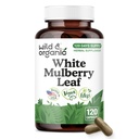 Wild & Organic White Mulberry Leaf Extract Capsules 500 mg - Antioxidant & Overall Support - Pure Mulberry Extract Supplement - Morus Alba Leaf Powder - Vegan, No Fillers, Non-GMO - 120 Count