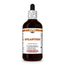 Spilanthes (Acmella Oleracea) Dry Leaf, Flower and Stem Tincture, Raw Materials, All Natural, Vegan, Pure Liquid Extract - 4 fl.oz