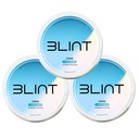 BLINT Prime Caffeine Nootropic Pouches – L-Theanine, Alpha GPC, L-Tyrosine | Brain Supplements for Memory and Focus | Energy Pouches | 15 Pouches Per Can | Cool Mint (3 Cans)