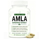 Amla Superfruit Capsules, 1,000mg Pure & Potent Extract, 100% Natural Ingredients, Antioxidant, Supports Energy, Mitochondria, Joints, 90 Capsules