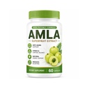 Amla Superfruit Capsules, Organic Amla Fruit Extract Capsules, Indian Gooseberry Supplement with Polyphenols for Healthy Aging, Metabolic Balance & Daily Vitality – 60 Capsules (1)