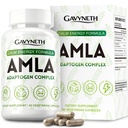 Amla Capsules Supplement with Ashwagandha, Rhodiola & Saffron - Indian Gooseberry Amla Fruit Extract for Antioxidant Support, Energy, Stress Balance & Daily Wellness - 60 Vegan Capsules