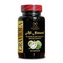 Graviola Leaf Capsules for Support Daily Energy | Antioxidant-Rich | Natural Harmony & Balanced Well-Being | Pure Plant Formula | 1 Bottle 100 Capsules