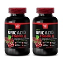 Uric Acid Healing Herbs - URIC ACID FORMULA - Uric Acid, Pomegranate for, Uric Acidification, Uric Acid Support Supplement, Devil’s Claw for Uric Acid, Milk Thistle for Uric Acid Elimination 2 Bottle
