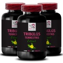 Pure Strength Boost - TRIBULUS TERRESTRIS EXTRACTS - Dynamic Energy Surge, Active Power Source, Body Muscle Support, Plant-Based Formula, Physical Energy, Daily Muscle Recovery 3 Bottles 180 Tablets