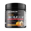 Isolean Whey Protein Isolate Powder | Pumpkin Spice | Pre & Post Workout Whey Protein Powder | Protein Powder | Amino Acids | Protein Shake | Protein Powder | Holiday | 25g Protein | 1 lb