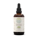 HerbEra Muira Puama and Catuaba B120 Alcohol-Free Herbal Extract Tincture, Concentrated Liquid Drops Natural (Ptychopetalum Olacoides and Trichilia catigua, Erythroxylum vacciniifolium) 4 fl oz