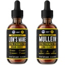 HERBIFY Bundle - Lions Mane & Mullein 4 Fl Oz Drops - Supplement for Memory, Focus & Clarity & Immune Support, Lung Cleanse and Bronchial Support