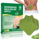 KONGDY Wormwood Back Patches, 40 Count Herbal Plaster Patches, Maximum Strength Hot Relief for Back, Neck, Knee, Shoulder, Muscle, Joint