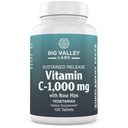 Vitamin C 1,000 mg + Bioflavonoids & Rose Hips – Potent Antioxidant Daily Wellness Support, Vegan, Non-GMO, Gluten-Free – 100 Tablets