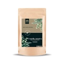 Blessfull Healing Centella Asiatica (Gotu Kola/Brahmi) Powder 100% Pure Natural 100 Gram / 3.52 oz