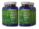 spirulina Tablets Organic - Blue Green Algae - Increase General Well-Being and Energy Levels (6 Bottles)