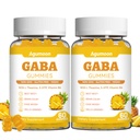 2 Pack GABA Gummies for Women & Men - Sugar-Free GABA Supplement Gummies with L-Theanine, 5-HTP, Ashwagandha, Magnesium Glycinate, Vitamin B6, Vitamin D3 - Pineapple Flavor, Vegan, 120 Gummies