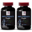 Clean Experience - ANTI-PARASITE COMPLEX - Fresh Path, Daily Defense, Inner Balance, Daily Support, Botanical Shield, Balanced Support, Detox Ritual, Daily Renewal 2 Bottles 120 Capsules