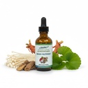 Brain Support Supplement Liquid Drops - Gotu Kola Extract, Enoki Mushroom, Ashwagandha & Ginseng - Organic Nootropic for Memory, Focus & Mental Clarity - Vegan Herbal Tincture - 2oz (60 Servings)