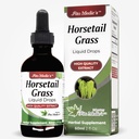 FITO MEDIC'S Lab Horsetail Liquid Extract, Cola de Caballo, 2 fl oz, Alcohol Free Herbal Formula