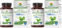 Brieofood Organic Gotu Kola 1500mg, 45 Servings, Vegetarian, Gluten Free, 90 Vegetarian Tablets (Pack of 2)