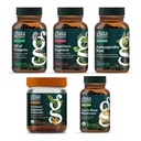 Gaia Herbs Being Well Kit - Oil of Oregano, Turmeric Supreme Adult Daily Gummies, Hawthorn Supreme, Lion's Mane Mushroom, Ashwagandha Root