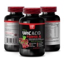 Uric Acidification - URIC ACID FORMULA - Uric Acid Crystal Dissolver, Herbal Uric Acid Control, Uric Acid Formula with Pomegranate, Uric Acid Natural, Tart Cherry for Uric Acid Support 1 Bottle