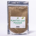 Herb To Body Plantain Leaf Powder – 4oz, Wildcrafted Plantago major, Finely Ground Plantain Leaf for Herbal Tea, Traditional Herbal Blends, and DIY Preparations