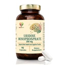 Uridine Monophosphate 250mg – 90 Capsules | Dietary Supplement | Supports General Health & Wellness | Non-GMO & Gluten-Free