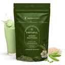 Earthful Honest Plant Protein | 24g Protein/Serving & 4.9g BCCAs | For Weight Management, Energy, Muscle Support & Recovery | Made with Pea & Brown Rice | Japanese Matcha - 468g