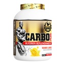 Dexter Jackson Carbo Plus | Mango Juice Flavor | 2268g, 5 lbs - 91 Servings | Premium Carbohydrate Blend for Endurance & Muscle Recovery | Fast Absorption | Energy Boost