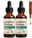 Nabhi Lymphatic Drainage Drops 2 fl oz (60ml) | 2000mg Herbal Blend with Elderberry, Echinacea & Dandelion | Supports Lymphatic Wellness, Immune System Natural Detox Daily Herbal Wellness Men & Women (Pack of 2)