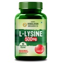 Vlado’s Himalayan Organics L-Lysine 500mg Essential Amino Acid - 10 Veg Capsules