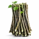 Giloy Stick (1KG)