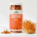 CordyFruit – 100% Raw Cordyceps Militaris Fruit Bodies | Natural Energy & Stamina Booster | Immunity, Endurance & Vitality Support | No Fillers, Pure Mushroom Superfood – 30g
