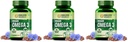 Himalayan Organics Vegan Omega 3-6-9 Supplement | Muscle, Bone, Heart & Skin Support | 90 Veg Capsules (Pack of 3)