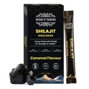 Herbs O' Shrubs Shilajit Resin Gold Kicks-40gm for Men | 5 Sticks (Pack of 1, Each 8gm) | Boost Strength | Natural Energy & Immunity Support | Ayurvedic Sheelajit Supplement with Organic Honey 7.58g & Caramel