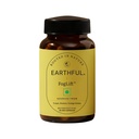 Earthful FogLift™ | Brain Fog Support with Bacopa, Tulsi & Ginkgo Biloba | Mental Clarity, Focus & Calm Mood | For Men & Women | 60 Capsules (30 Days Pack)