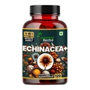 Humming Herbs Echinacea+ 1050mg with Tulsi, Quercetin, Vitamin C & Zinc | 5-in-1 Herbal Support Formula | 120 Veg Capsules | 60 Days Supply | Non-GMO & Gluten-Free