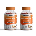 Daily Multivitamin Gummies | For Adults (Men & Women) | No Added Sugar | Herbal Extracts | Vitamins & Minerals | Boosts Immunity & Stamina | 60 Gummies