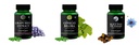Grape-seed-extract-60-vegetarian-capsules, Ginkgo-biloba-vegetarian-capsules, Black-seed-oil-capsules Combo | Convenient Nutrition & Wellness Routine | Multi-Product Pack