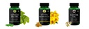 Ginkgo-biloba, Evening-primrose, Castor Combo | Convenient Nutrition & Wellness Routine | Multi-Product P