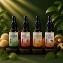 Nuvedo | Lions Mane Mushroom, Cordyceps, Reishi & Shiitake Liquid Extracts | 10mL Each | Fruiting body 1:5 Dual Extract | No Alcohol | Focus, Energy, Skin & Sleep Support | As Seen on Shark Tank